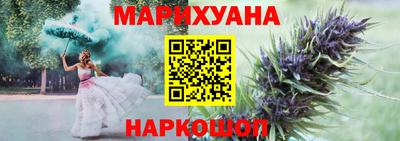 кокс Кингисепп