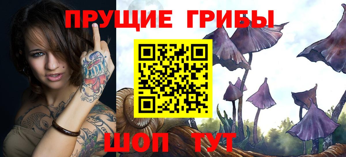 Галлюциногенные грибы MAGIC MUSHROOMS  Вход с VPN  Тулун  Галлюциногенные грибы прущие грибы 